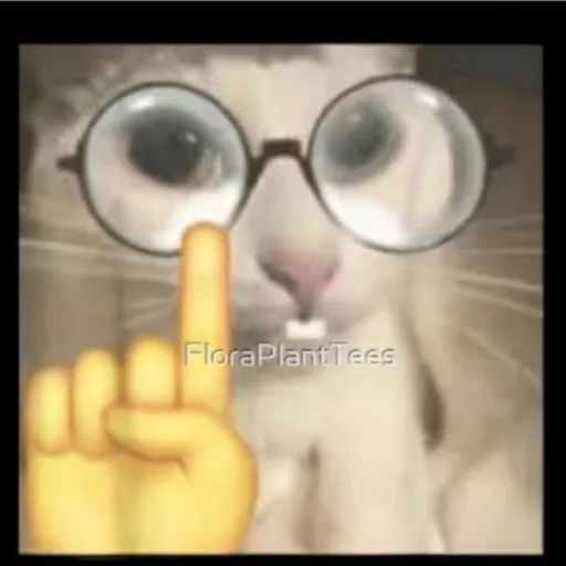 creator Timmy bobby Jones's avatar