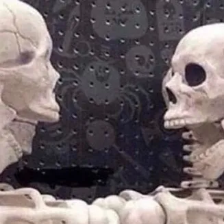 chat with ai character: ~Sth pirates~ (Au)