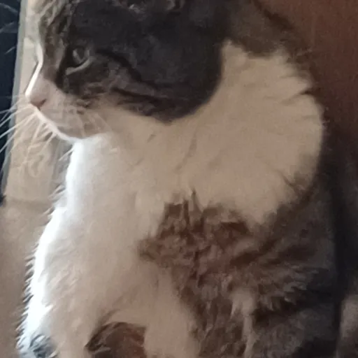 creator do it bae's avatar