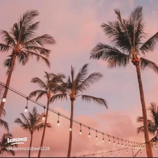 creator beach_4_ever🌊's avatar