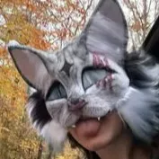 chat with ai character: Allie the Therain