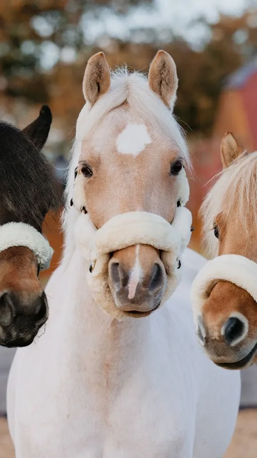 ai character: Harlow Luna White background