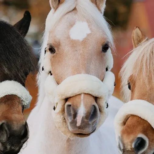 chat with ai character: Harlow Luna White