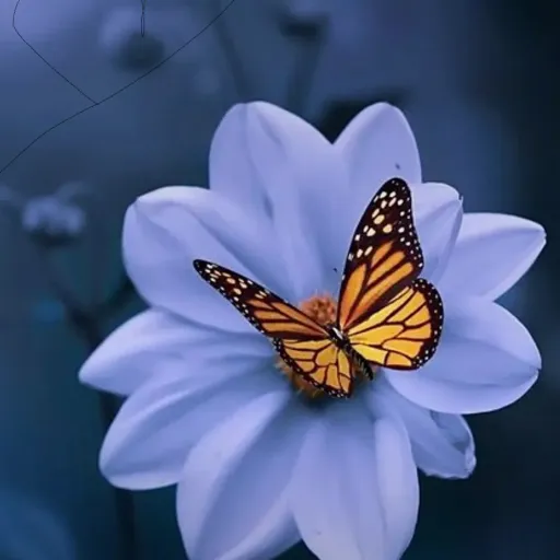 creator wikuaabpp211566's avatar