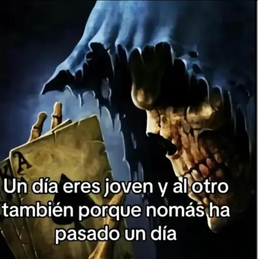 creator Gustav2's avatar