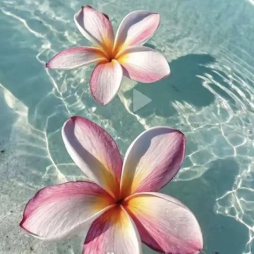 creator Une_blink's avatar