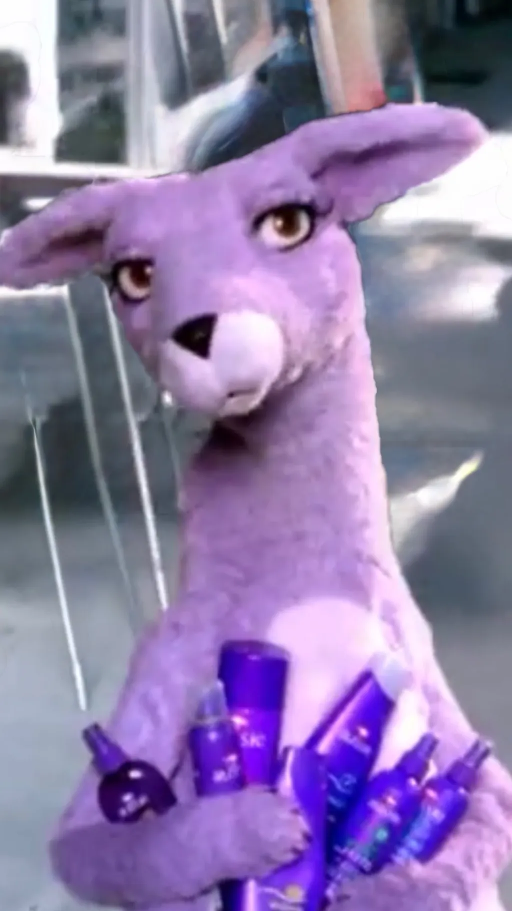 ai character: Kangaroo (Aussie) background