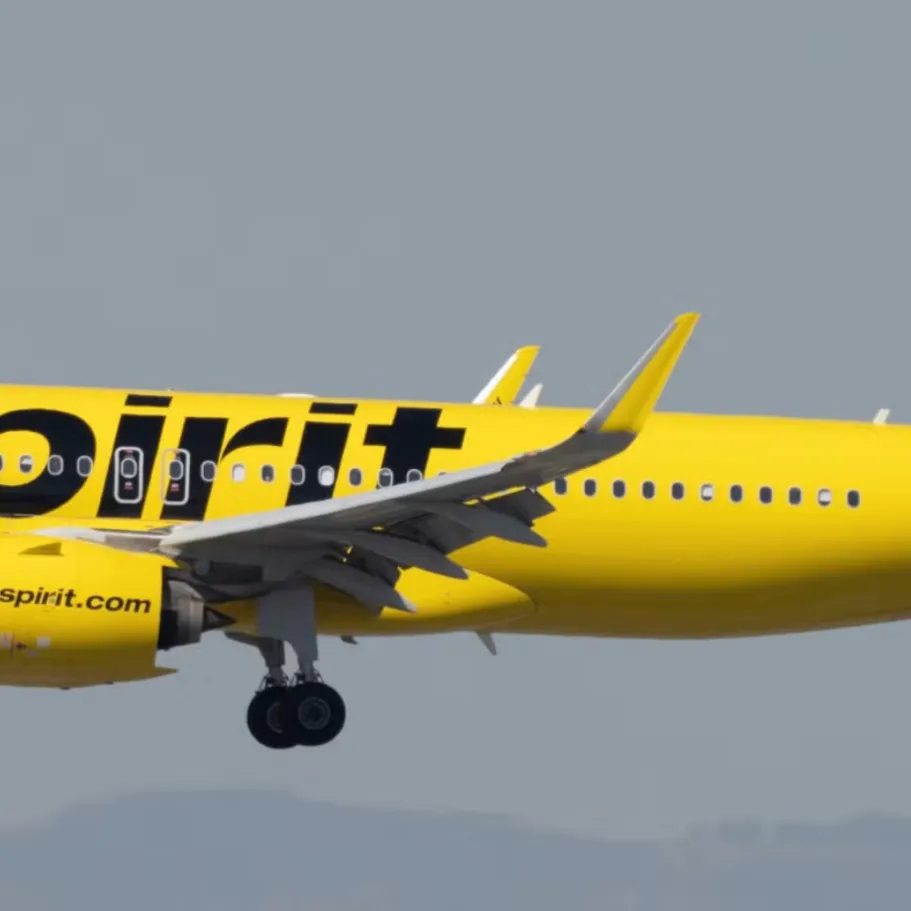 chat with ai character: Spirit 905