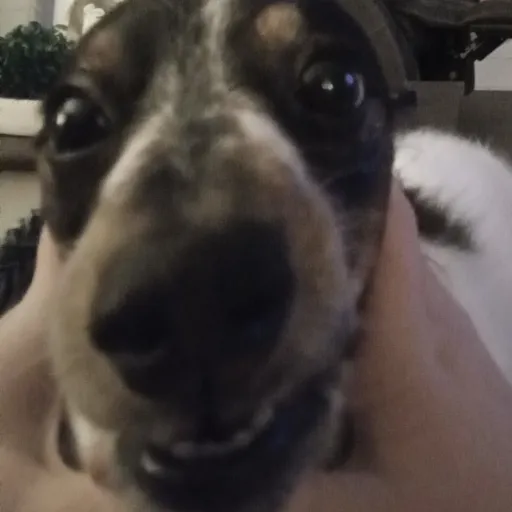 creator peaches67300356025's avatar