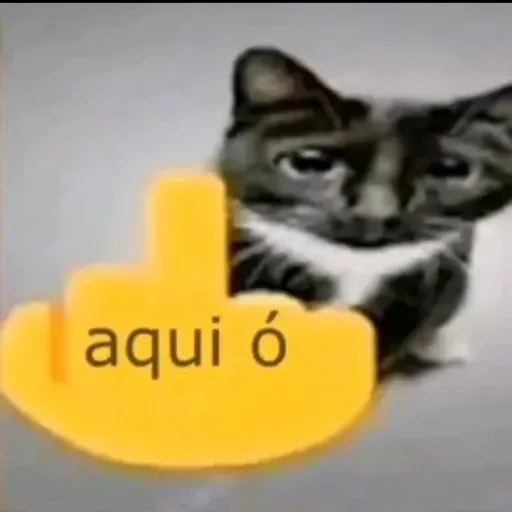 creator eu sou o davi 😁's avatar