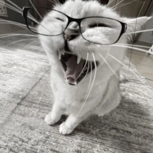 creator ɪᴛs ʟᴏᴠᴇ's avatar