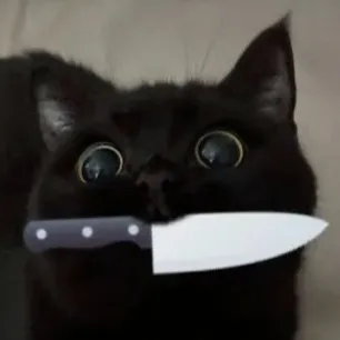 creator murder kittylover's avatar