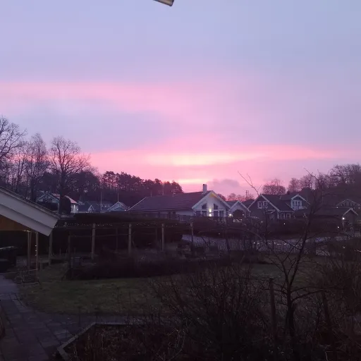 creator XcookiecoX's avatar