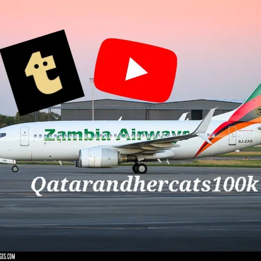 creator Qatar100kOriginal's avatar