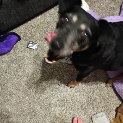 creator izzy Holland's avatar