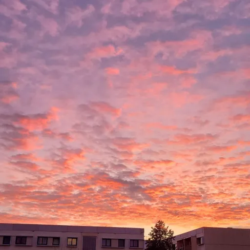 creator Lucie_'s avatar