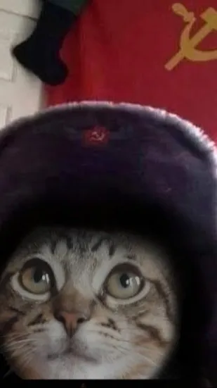 ai character: AUSTRIAN PAINTERRR background