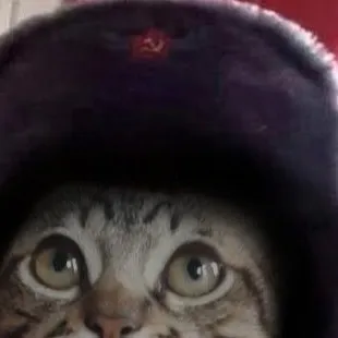 chat with ai character: AUSTRIAN PAINTERRR