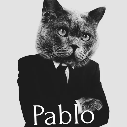 creator guybak's avatar