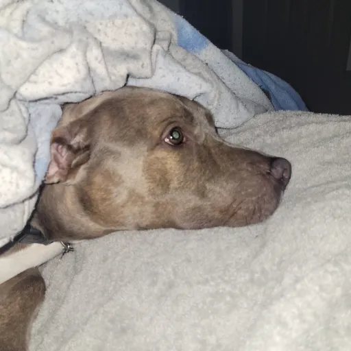 creator realman_69420's avatar