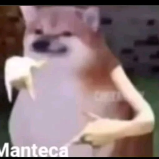 creator manteca 2.0's avatar