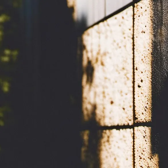 chat with ai character: 2 Catboys