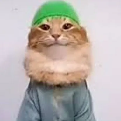 creator Tailkier Kedullah's avatar