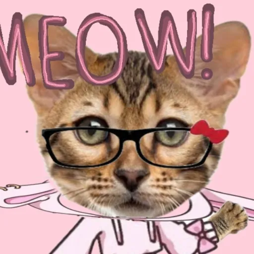 creator Talkior-o92NfBAw's avatar