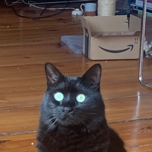 creator Createur d'Ia's avatar