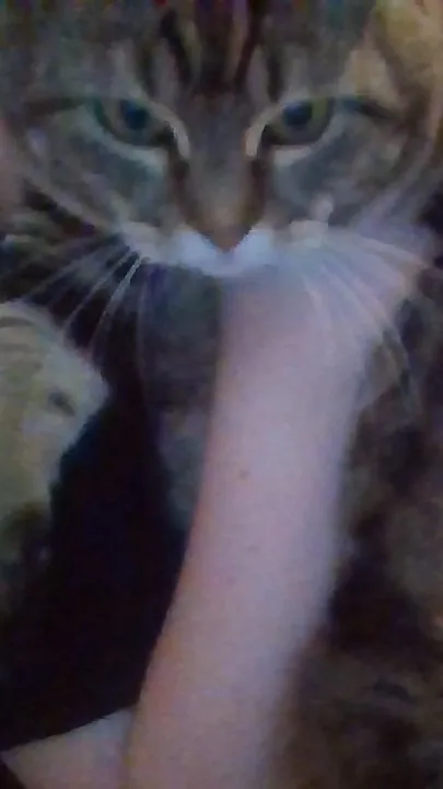 ai character: moomoo background