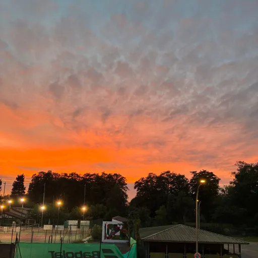 creator 🗣:____moi:😞🧠🫀🫁💔🩸's avatar