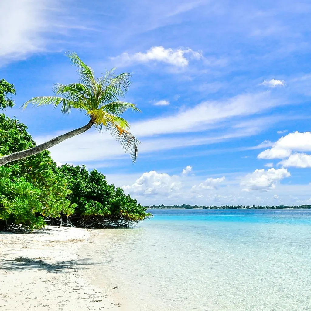 chat with ai character: COD- beach