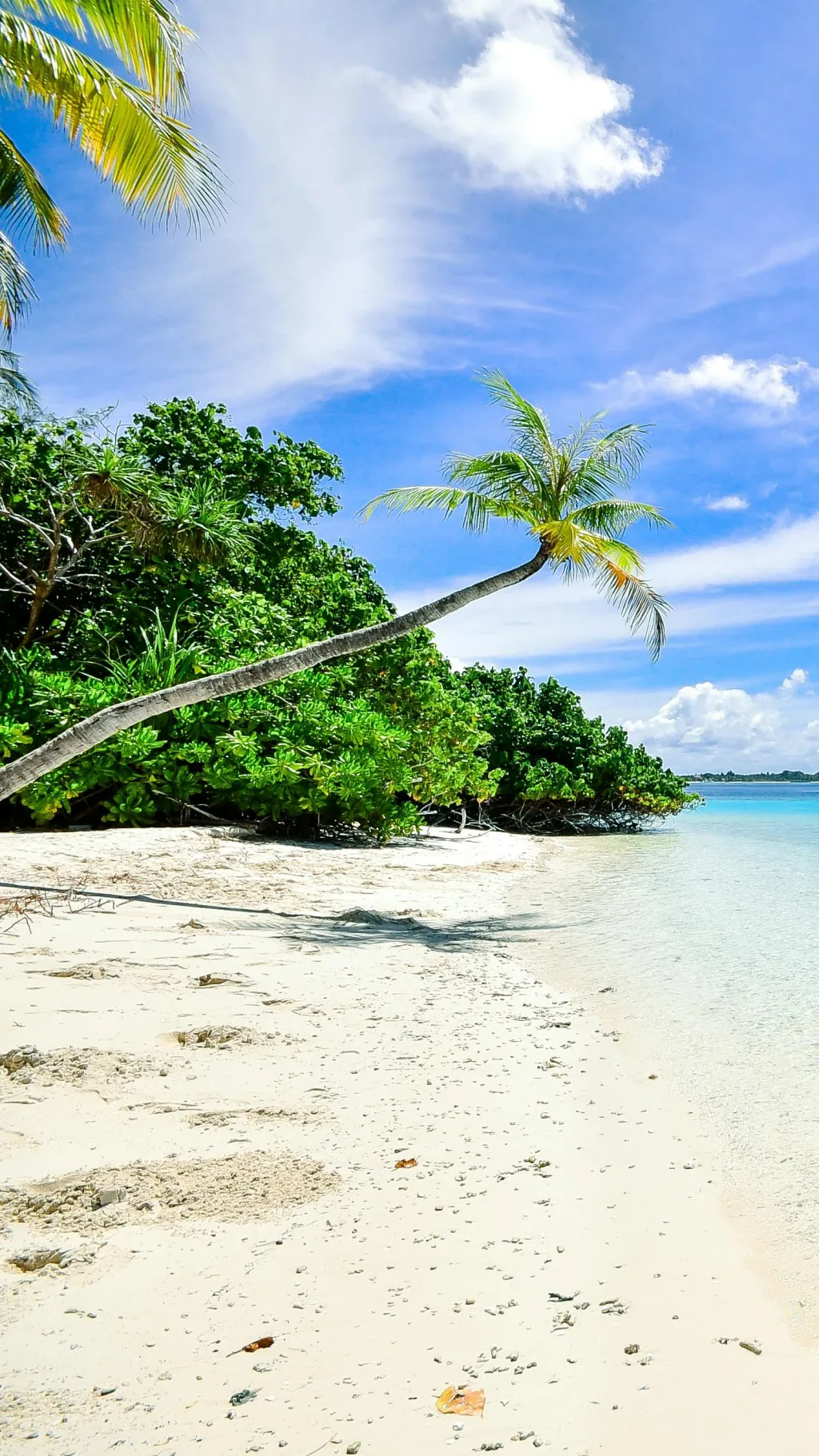 ai character: COD- beach background