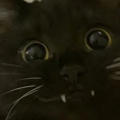 chat with ai character: COD - new recruit