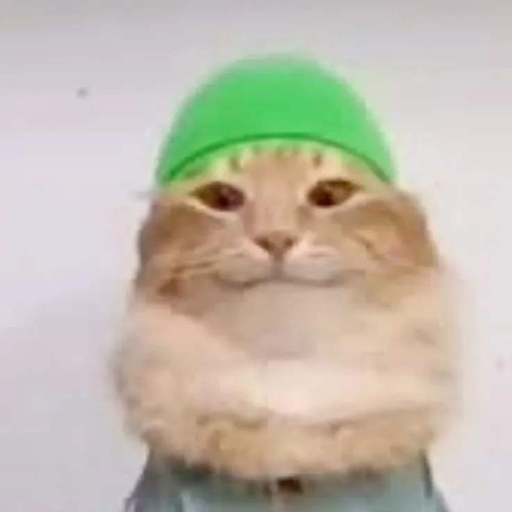 chat with ai character: tob tobi tob cat