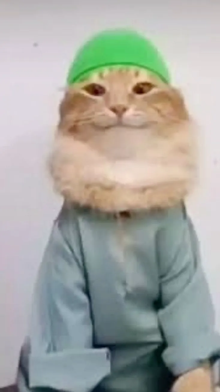 ai character: tob tobi tob cat background