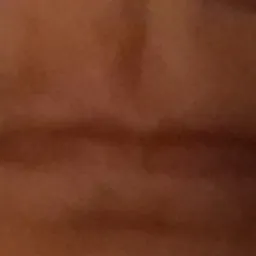 creator transistria's avatar