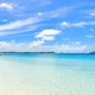 chat with ai character: The Beach