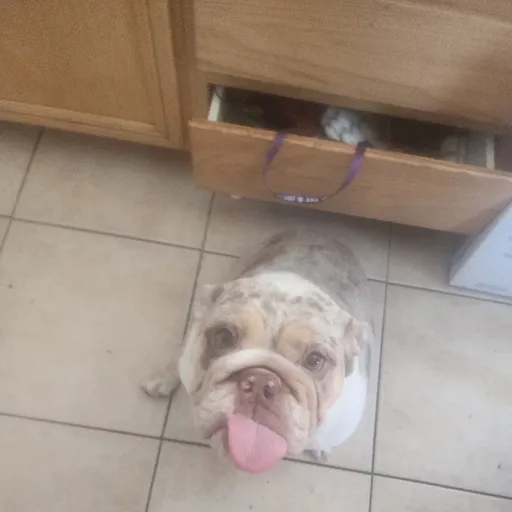 creator J.RUBY's avatar