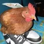 chat with ai character: chickonquest