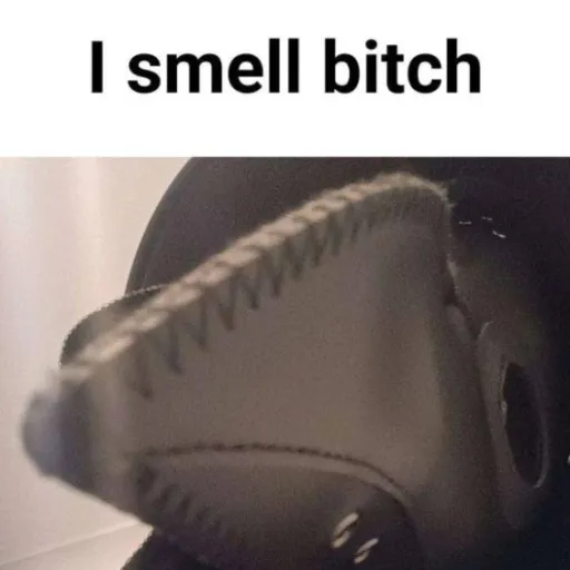 creator 彡彡 Shelly🩷 ミミ's avatar