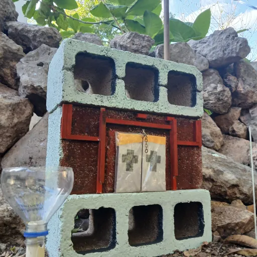 talkie's author avatar