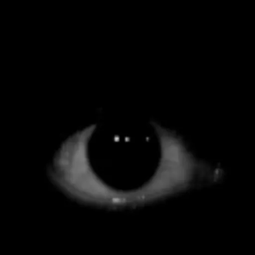 creator El cocodrilo dante's avatar