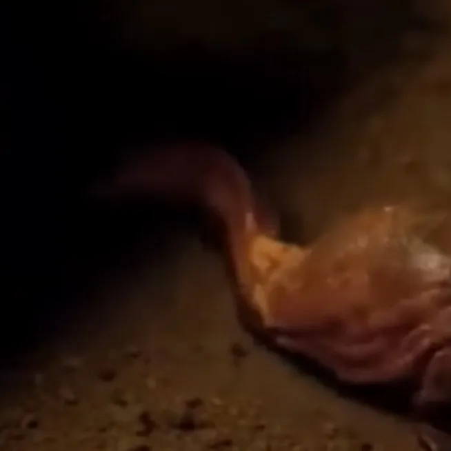 chat with ai character: Dart 3