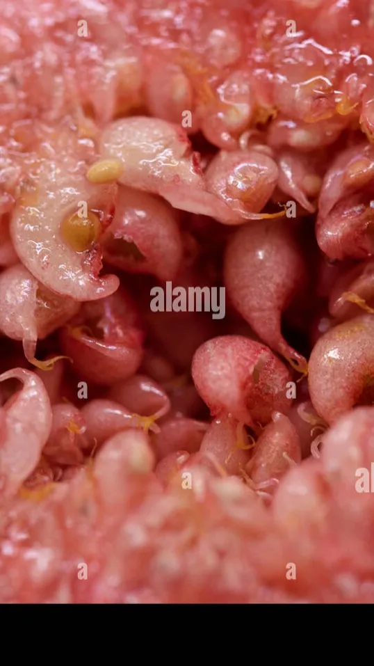 ai character: mystery flesh pit background