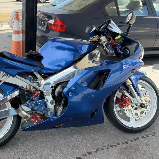 creator ✨I like cats✨'s avatar