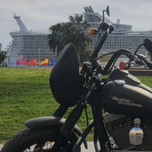 talkie's author avatar