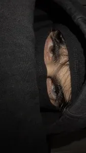 ai character: Zane background