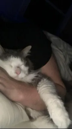 ai character: River background