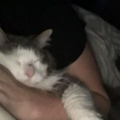 chat with ai character: River